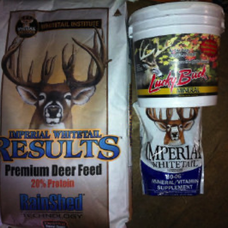 Deer Feed & Supplements
